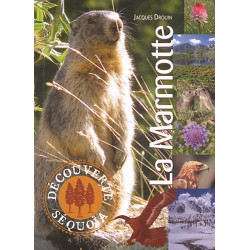 La Marmotte
