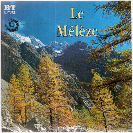 Le mélèze