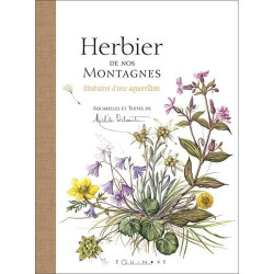 Herbier de nos montagnes : Itinéraires d'une aquarelliste