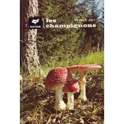 Les champignons