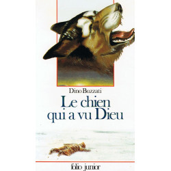 Le Chien qui a vu Dieu (INACTIF- FOLIO JUNIOR 1)