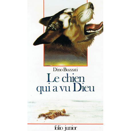 Le Chien qui a vu Dieu (INACTIF- FOLIO JUNIOR 1)