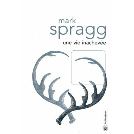 Une vie inachevée