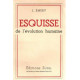 Esquisse de l'évolution humaine