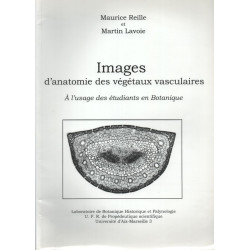 IMAGES D'anatomie des végétaux vasculaires à l'usage des étudiants...