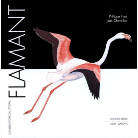 Flamant