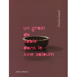 Un grain de sable dans le sine saloum