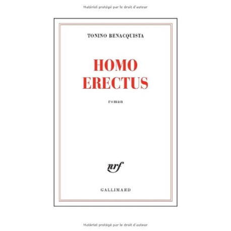 Homo erectus