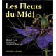 Les fleurs du Midi