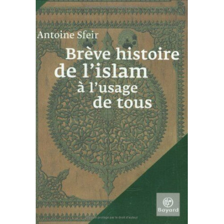 Breve histoire de l islam a l'usage de tous