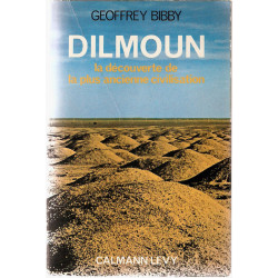 Dilmoun.La découverte de la plus ancienne civilisation