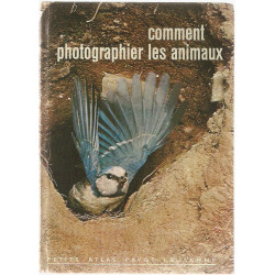 Comment photographier les animaux