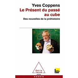 Le Présent du passé au cube: Des nouvelles de la préhistoire