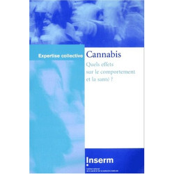 Cannabis. Quels effets sur le comportement et la santé