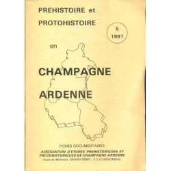 Préhistoire et protohistoire en CHAMPAGNE ARDENNE . FICHES...