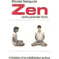 Zen votre premier livre