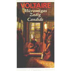 Micromégas Zadig Candide