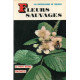 Fleurs sauvages