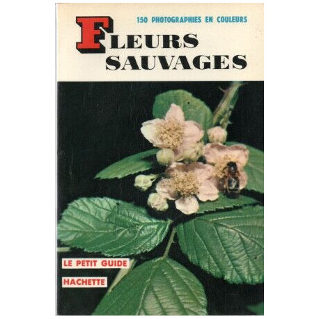 Fleurs sauvages