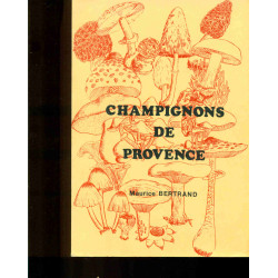 Champignons de Provence