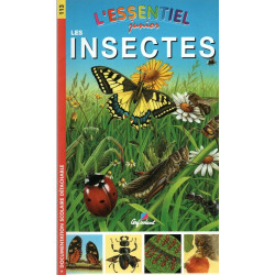 Les Insectes
