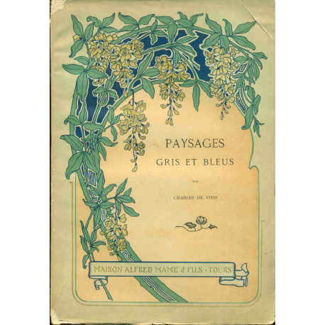 Paysages Gris et Bleus