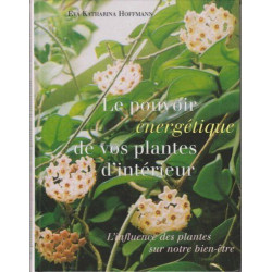 Le pouvoir énergétique de vos plantes d'intérieur
