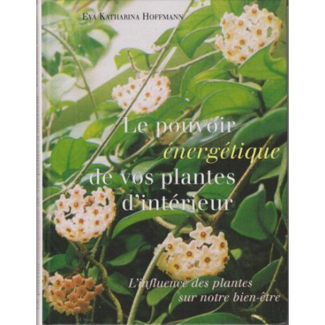 Le pouvoir énergétique de vos plantes d'intérieur