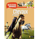 CHEVAUX ET PONEYS