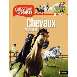 CHEVAUX ET PONEYS