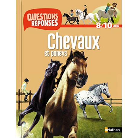 CHEVAUX ET PONEYS
