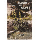 Fleurs des Alpes