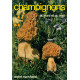 Champignons du Nord et du Midi