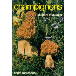 Champignons du Nord et du Midi