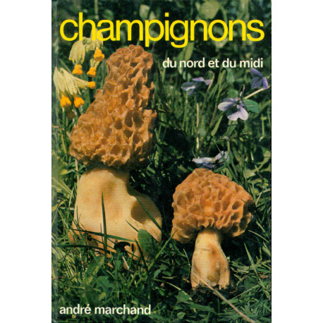 Champignons du Nord et du Midi
