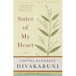 Sister of My Heart: A Novel