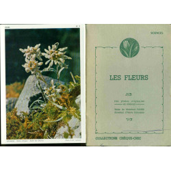 Les Fleurs
