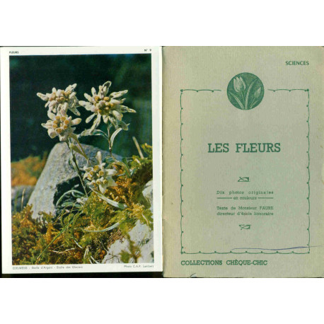 Les Fleurs