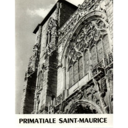 Primatiale saint-Maurice . Vienne - Isère