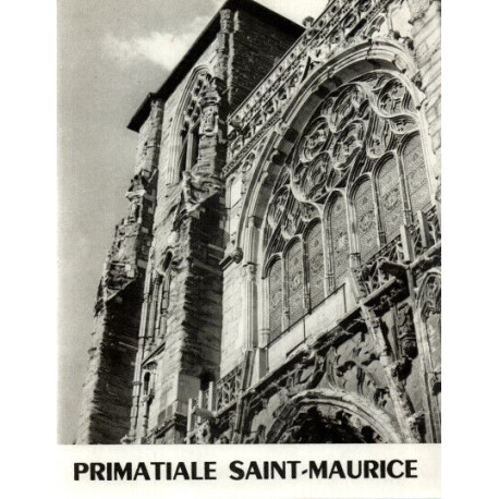 Primatiale saint-Maurice . Vienne - Isère