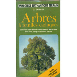 Arbres a feuilles caduques