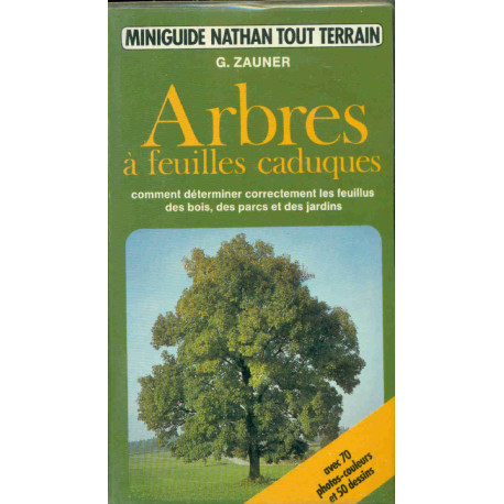 Arbres a feuilles caduques