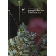Papillons diurnes