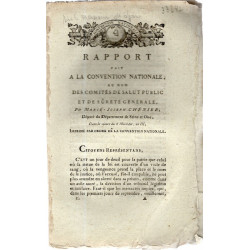 Rapport fait à La Convention Nationale au nom des Comités de salut...