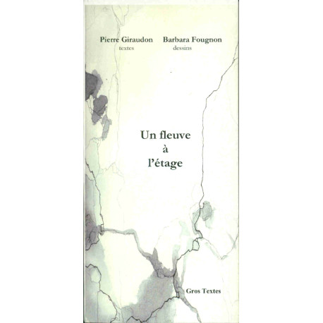 Un fleuve à l'étage (Mots d'ici)