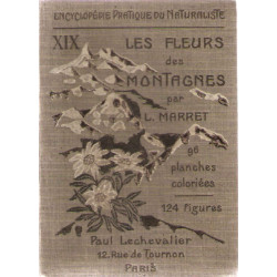 Les fleurs de montagne