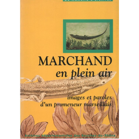 Marchand en Plein Air . Images en paroles d'un promeneur marseillais