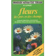 Fleurs des pres et des champs