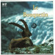 Le bouquetin